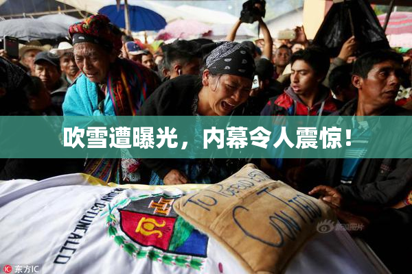 吹雪遭曝光，内幕令人震惊！