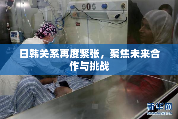日韩关系再度紧张，聚焦未来合作与挑战