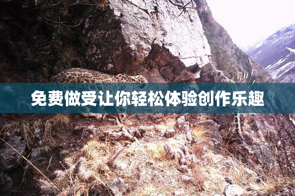 免费做受让你轻松体验创作乐趣