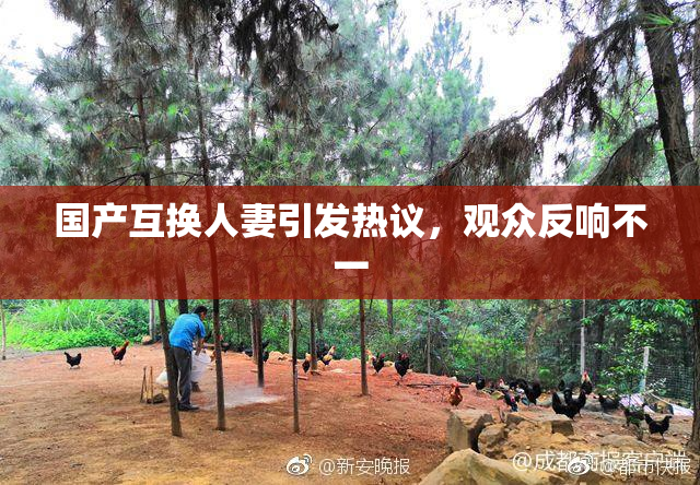 国产互换人妻引发热议，观众反响不一