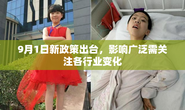 9月1日新政策出台，影响广泛需关注各行业变化