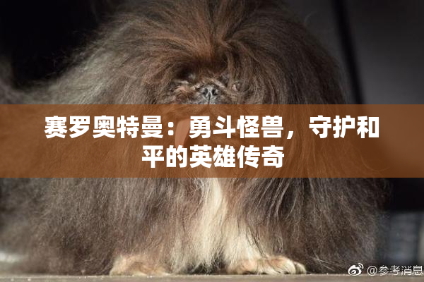 赛罗奥特曼：勇斗怪兽，守护和平的英雄传奇