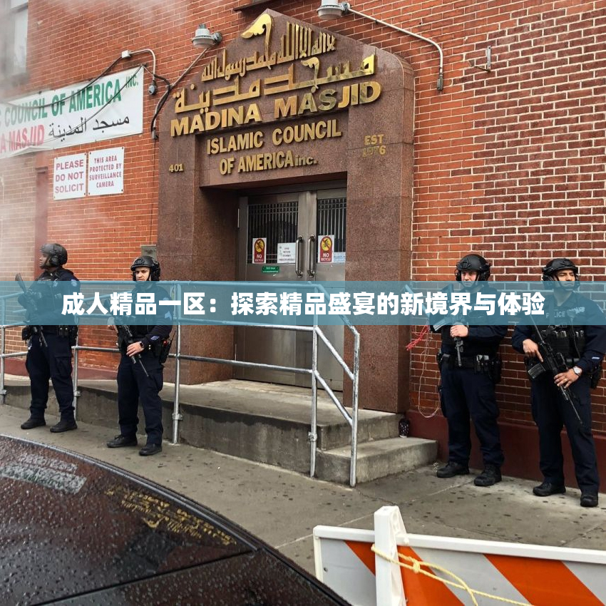 成人精品一区：探索精品盛宴的新境界与体验