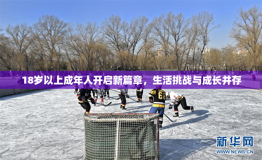 18岁以上成年人开启新篇章，生活挑战与成长并存