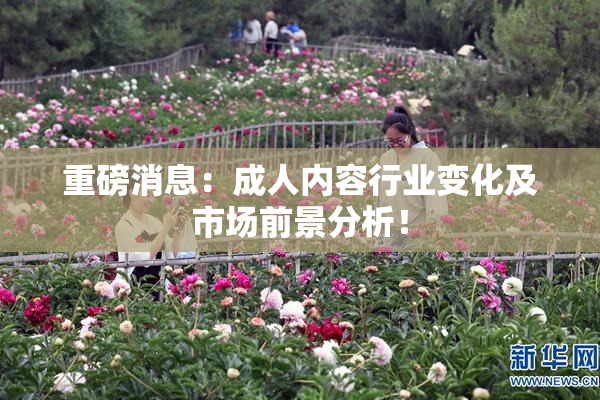 重磅消息：成人内容行业变化及市场前景分析！