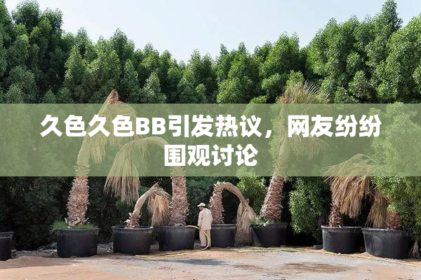 久色久色BB引发热议，网友纷纷围观讨论
