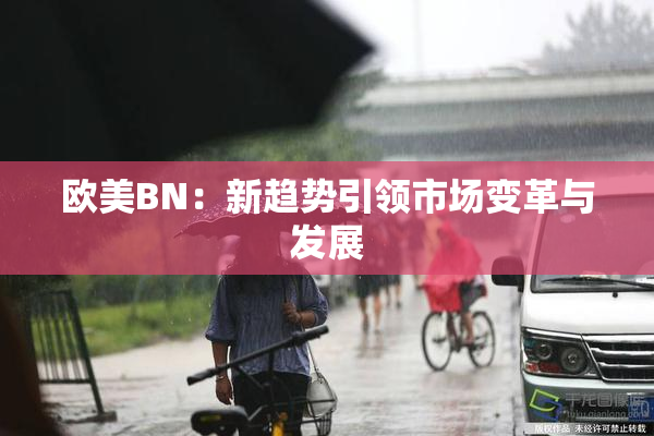 欧美BN：新趋势引领市场变革与发展