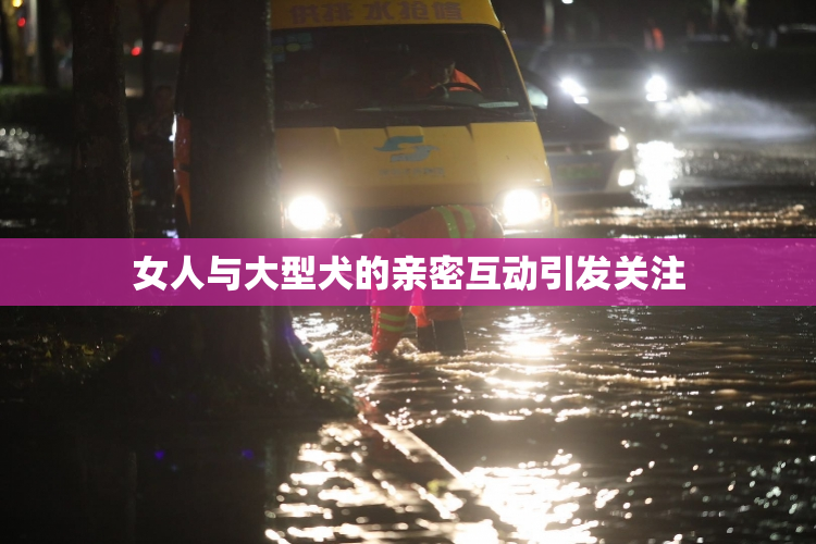 女人与大型犬的亲密互动引发关注