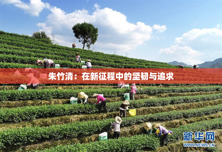 朱竹清：在新征程中的坚韧与追求