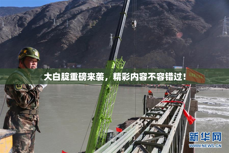 大白腚重磅来袭，精彩内容不容错过！