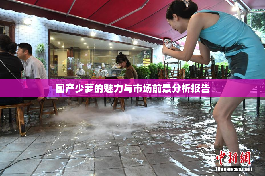 国产少萝的魅力与市场前景分析报告