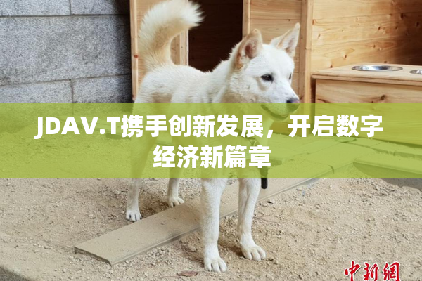 JDAV.T携手创新发展，开启数字经济新篇章