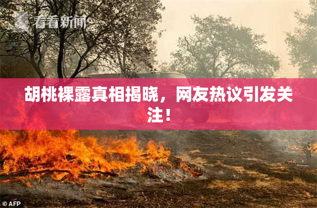 胡桃裸露真相揭晓，网友热议引发关注！