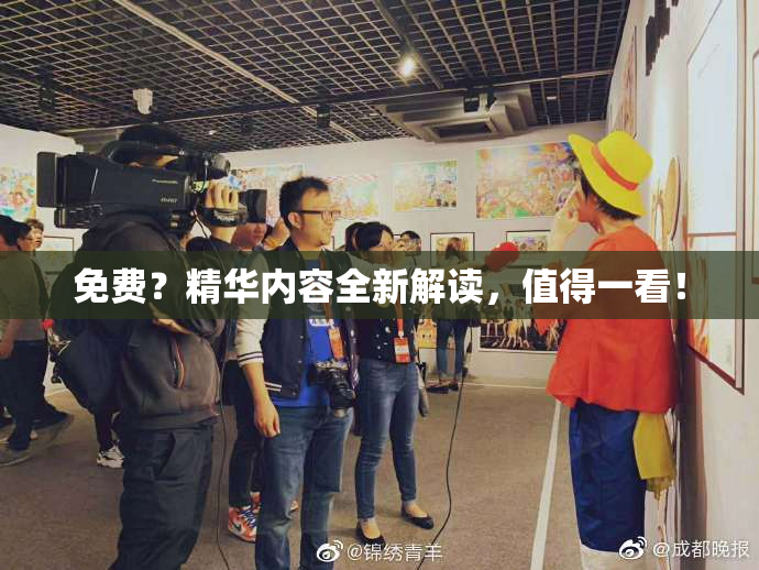 免费？精华内容全新解读，值得一看！