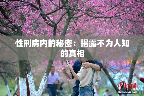 性刑房内的秘密：揭露不为人知的真相