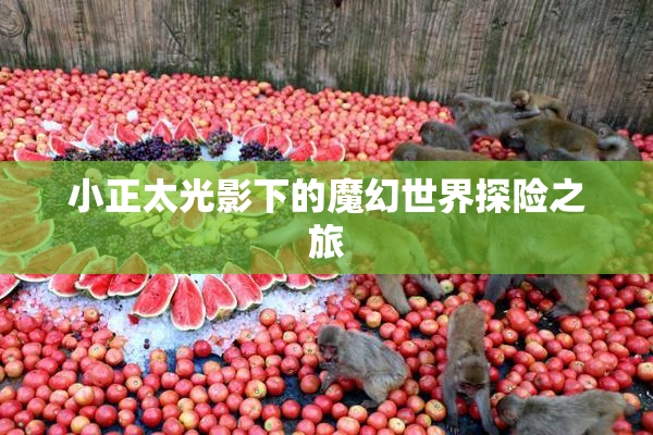 小正太光影下的魔幻世界探险之旅