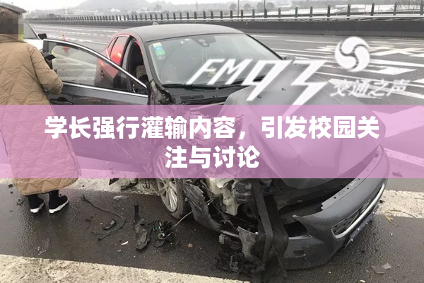 学长强行灌输内容，引发校园关注与讨论