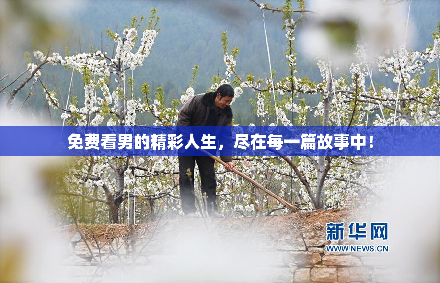 免费看男的精彩人生，尽在每一篇故事中！