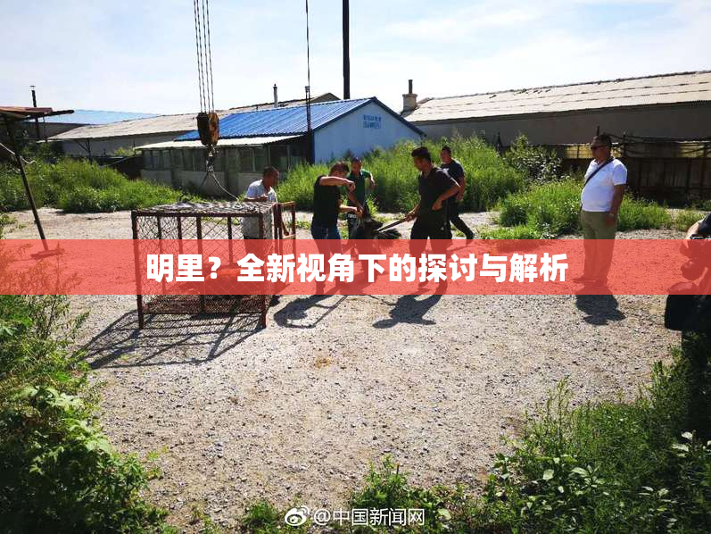 明里？全新视角下的探讨与解析