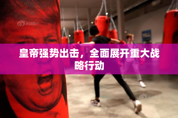 皇帝强势出击，全面展开重大战略行动