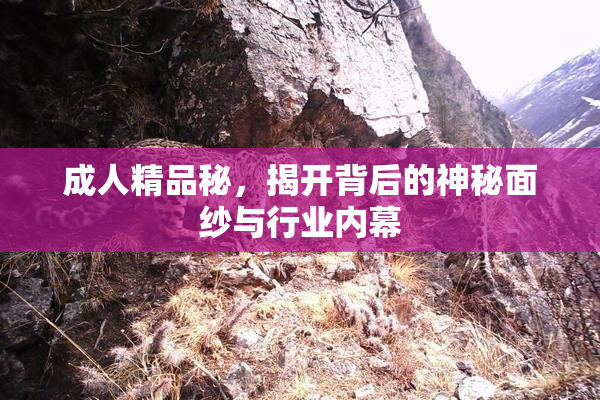 成人精品秘，揭开背后的神秘面纱与行业内幕