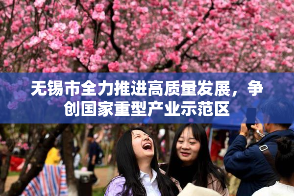 无锡市全力推进高质量发展，争创国家重型产业示范区