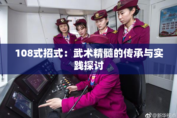 108式招式：武术精髓的传承与实践探讨