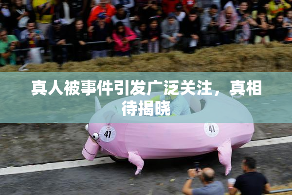 真人被事件引发广泛关注，真相待揭晓