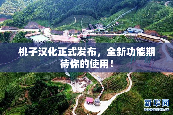桃子汉化正式发布，全新功能期待你的使用！