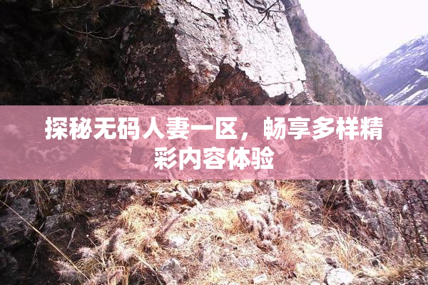 探秘无码人妻一区，畅享多样精彩内容体验