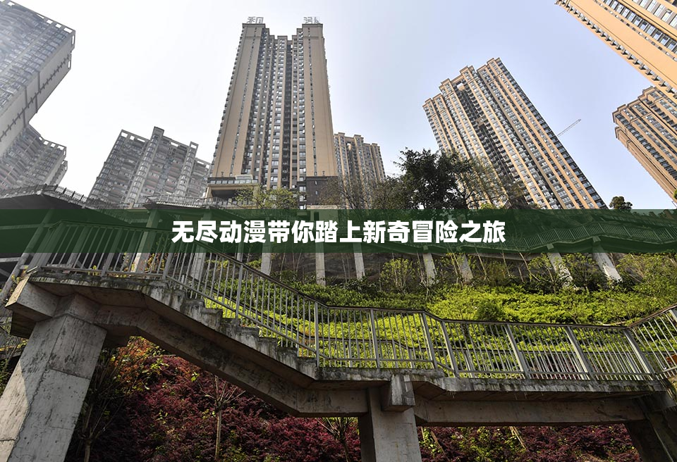 无尽动漫带你踏上新奇冒险之旅
