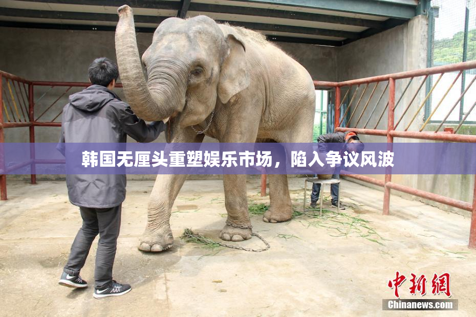 韩国无厘头重塑娱乐市场，陷入争议风波