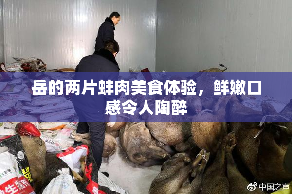 岳的两片蚌肉美食体验，鲜嫩口感令人陶醉