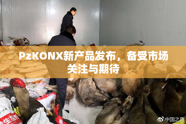 PzKONX新产品发布，备受市场关注与期待