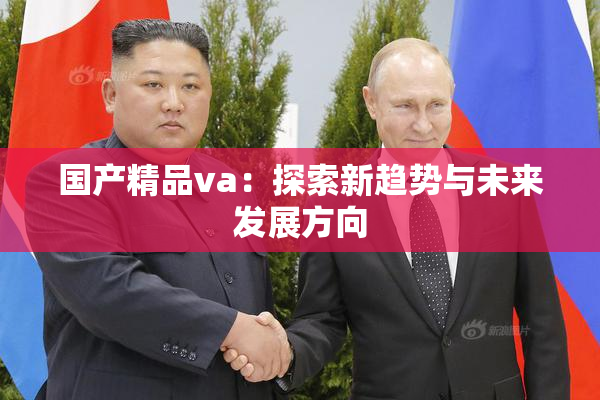 国产精品va：探索新趋势与未来发展方向