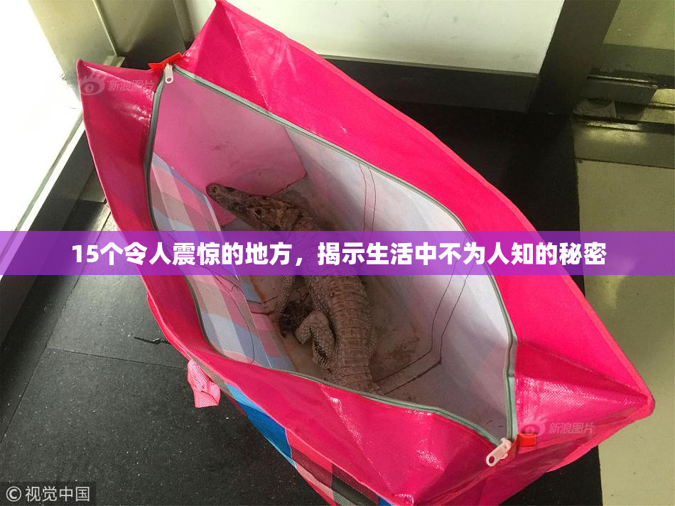 15个令人震惊的地方，揭示生活中不为人知的秘密