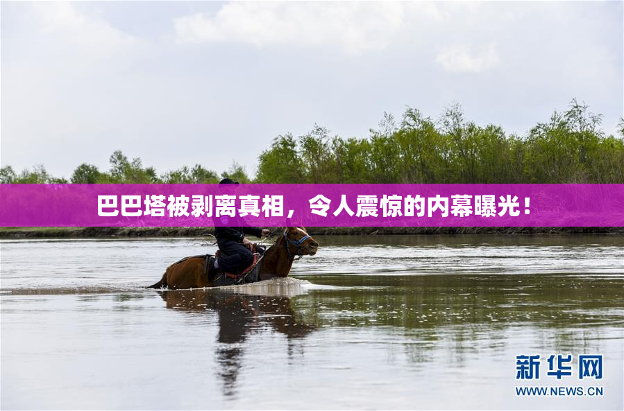 巴巴塔被剥离真相，令人震惊的内幕曝光！