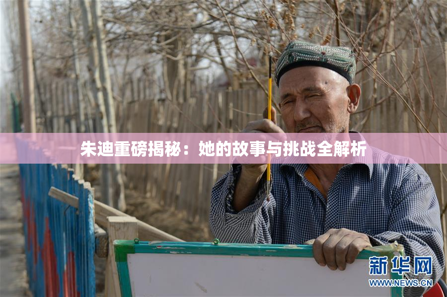朱迪重磅揭秘：她的故事与挑战全解析