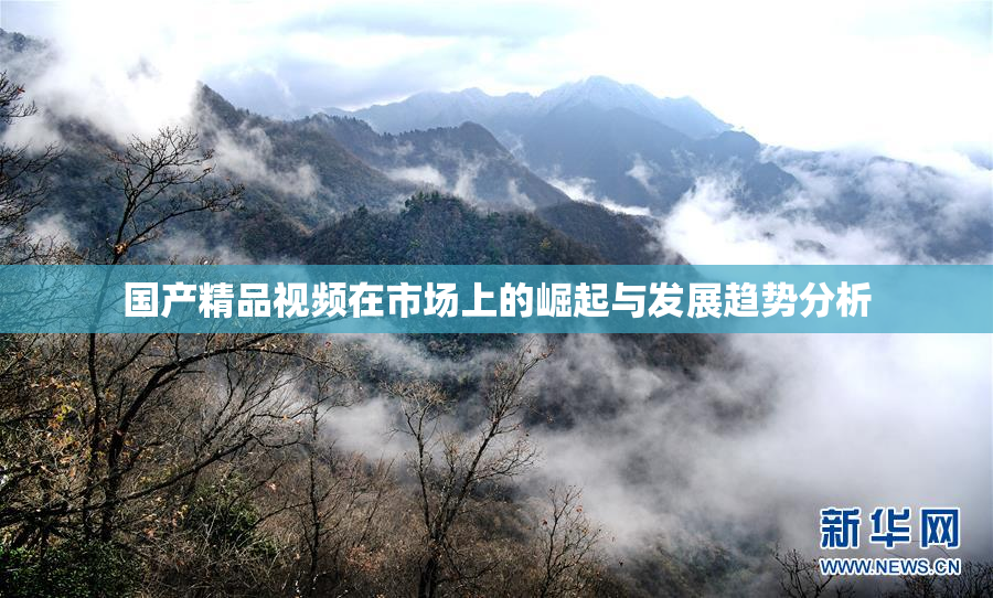 国产精品视频在市场上的崛起与发展趋势分析