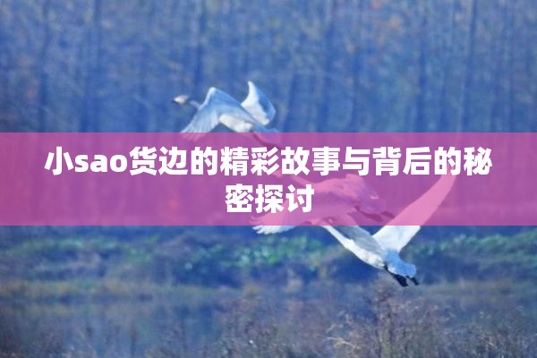 小sao货边的精彩故事与背后的秘密探讨