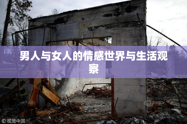 男人与女人的情感世界与生活观察