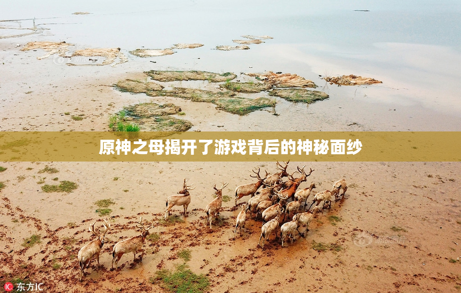 原神之母揭开了游戏背后的神秘面纱