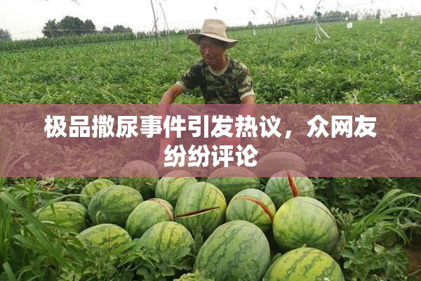 极品撒尿事件引发热议，众网友纷纷评论