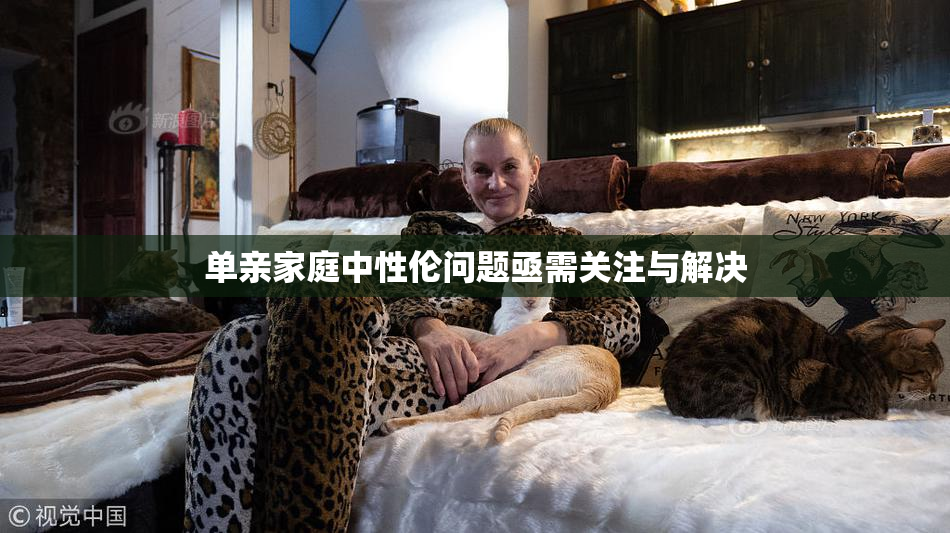 单亲家庭中性伦问题亟需关注与解决