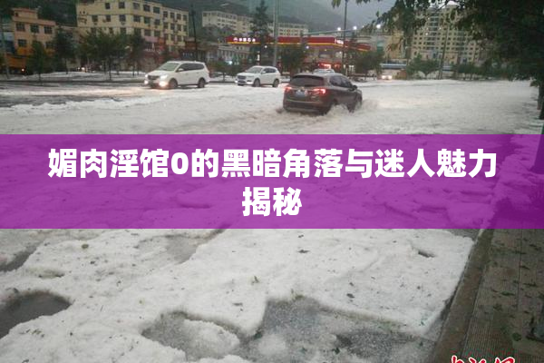 媚肉淫馆0的黑暗角落与迷人魅力揭秘