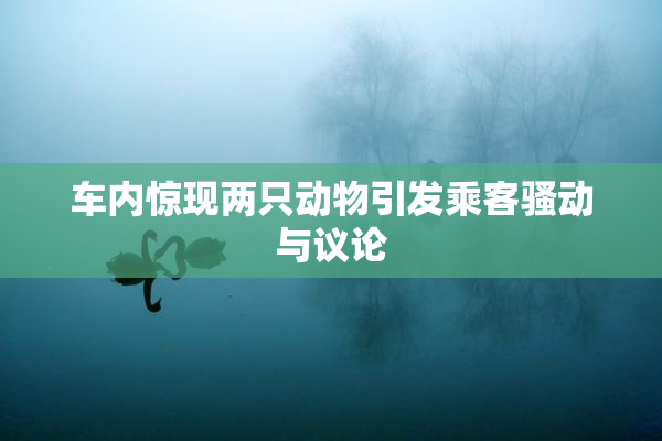 车内惊现两只动物引发乘客骚动与议论