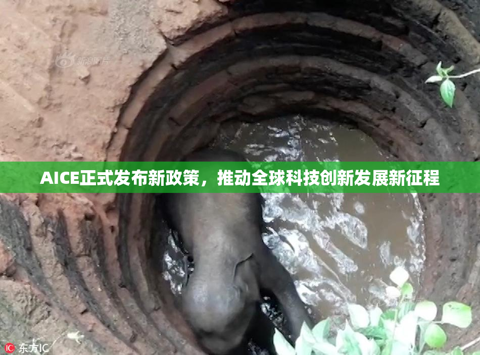 AICE正式发布新政策，推动全球科技创新发展新征程