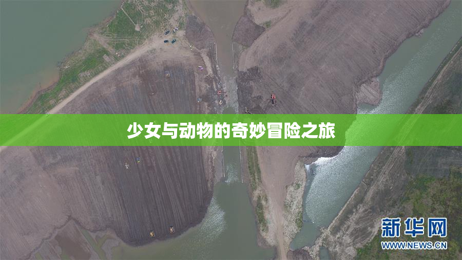 少女与动物的奇妙冒险之旅