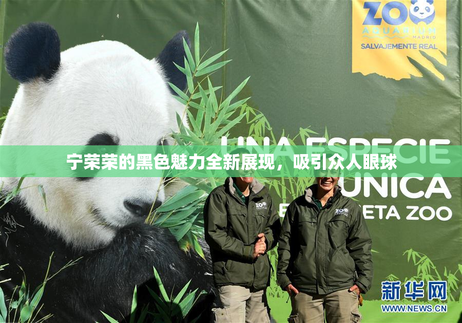 宁荣荣的黑色魅力全新展现，吸引众人眼球