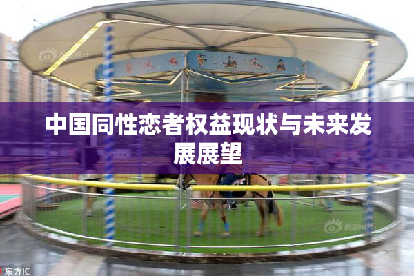 中国同性恋者权益现状与未来发展展望